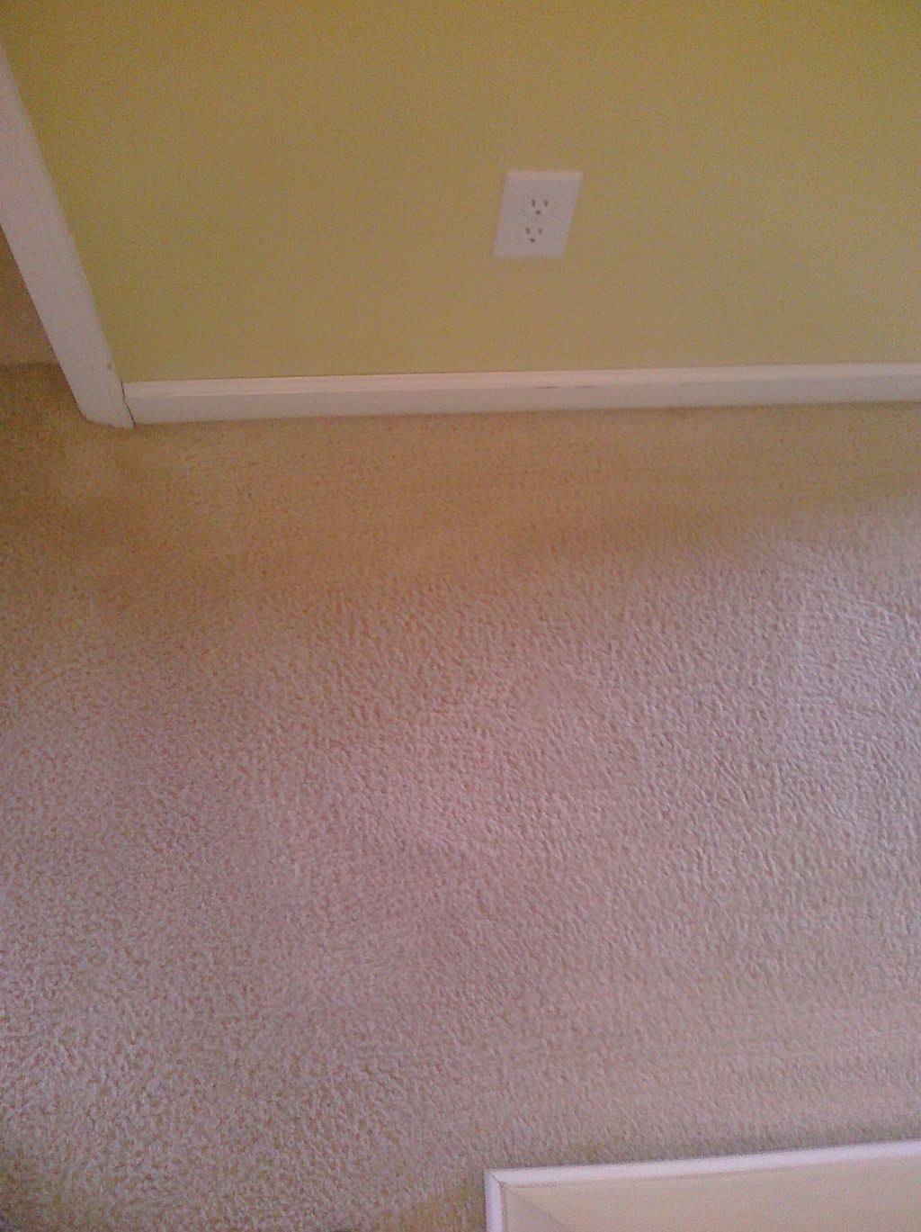 Carpets after dry cleaning
