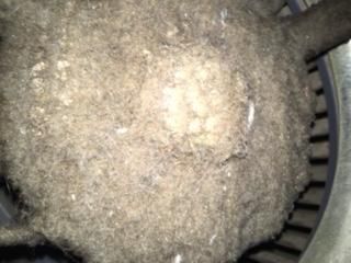 Is it time for Air Aware to check the blower in yo