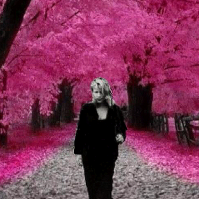 Avatar for Pam Pryor