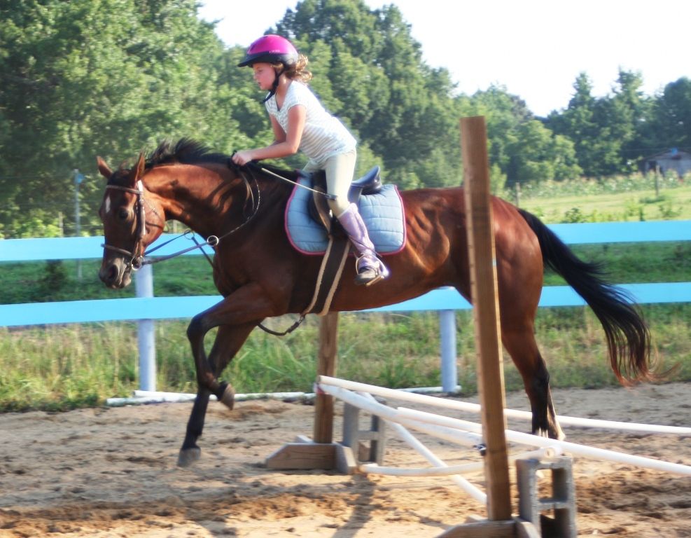 Equine Kingdom Riding Academy