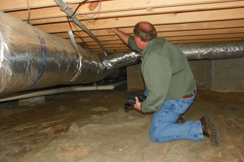 Hire A Professional.  We Know What We Are Looking 