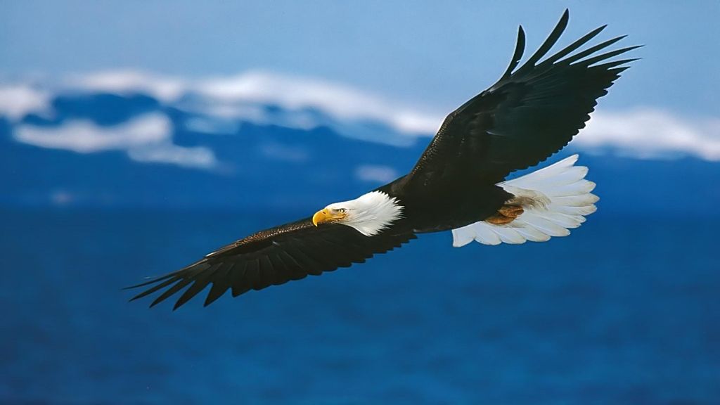 Leadership requires building consensus. Get this m
