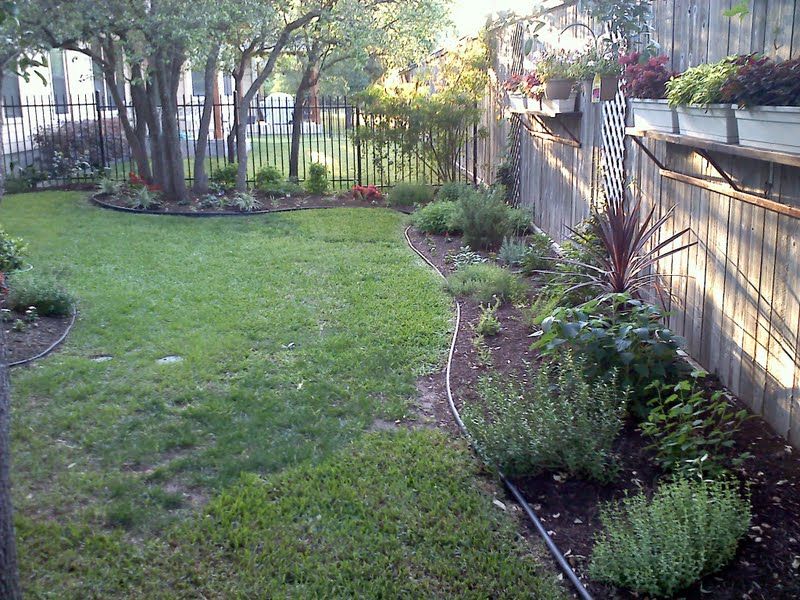 The Backyard Oasis