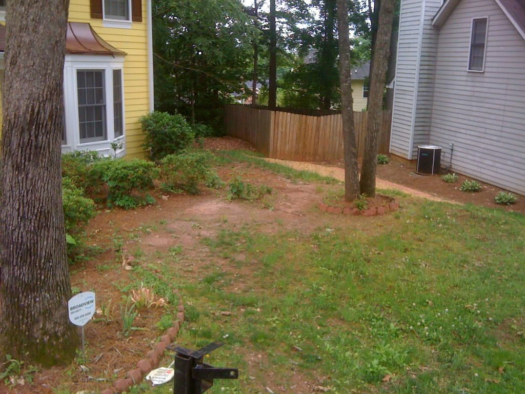 landscaping job  before pic of plants and sod
