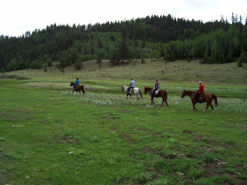 Justin Dunn Horsemanship