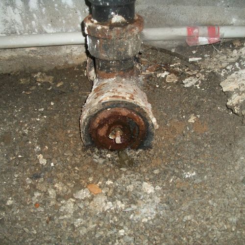 The main drain line is leaking.