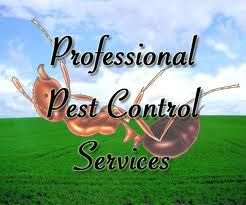 Pest Control Service Las Vegas NV