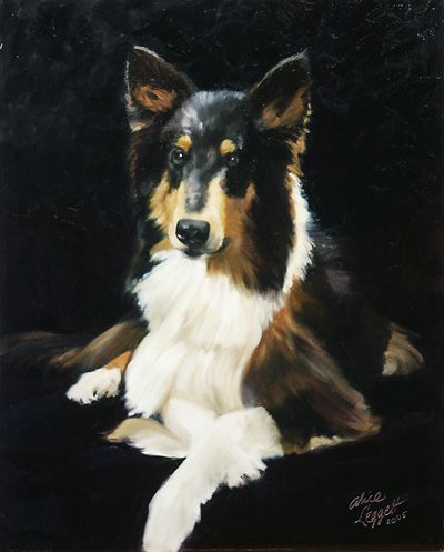 Collie - 16x20 oil on canvas. Collection of the ar