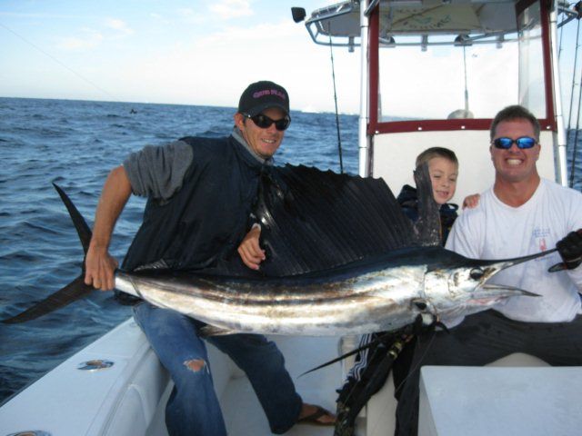 Sailfish