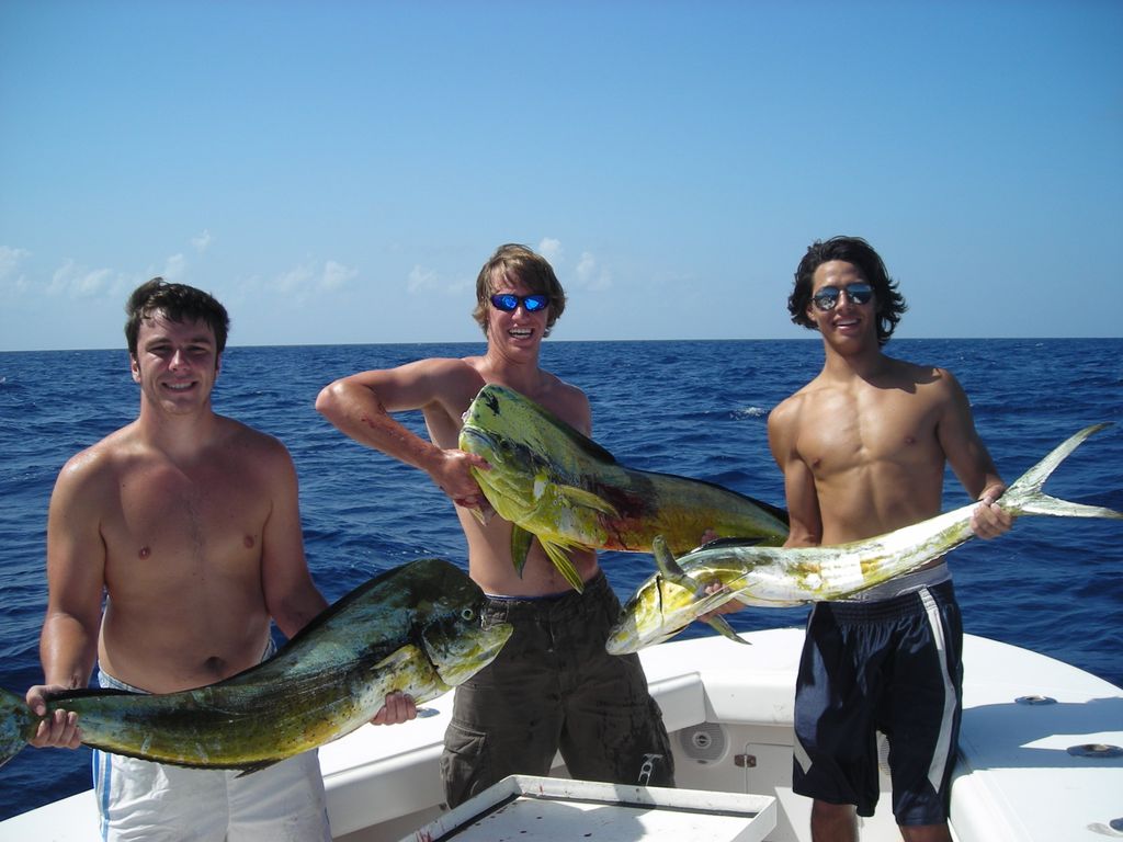 Mahi Mahi