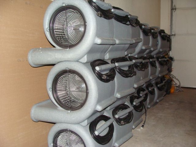 Lots of air movers we use them to dry carpet after
