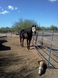 Romeo -he totally lives up to his name. Me and Rom