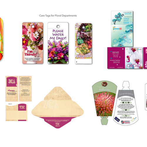 Specialty / Packaging / Tags & Cards
see portfolio