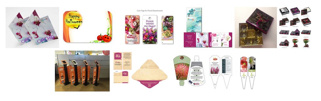 Specialty / Packaging / Tags & Cards
see portfolio
