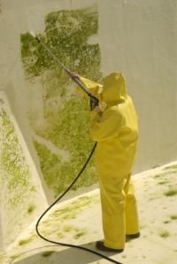 Mold Spray down Removal - Pressure Cleaning