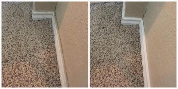 Before/ After Baseboard Clean