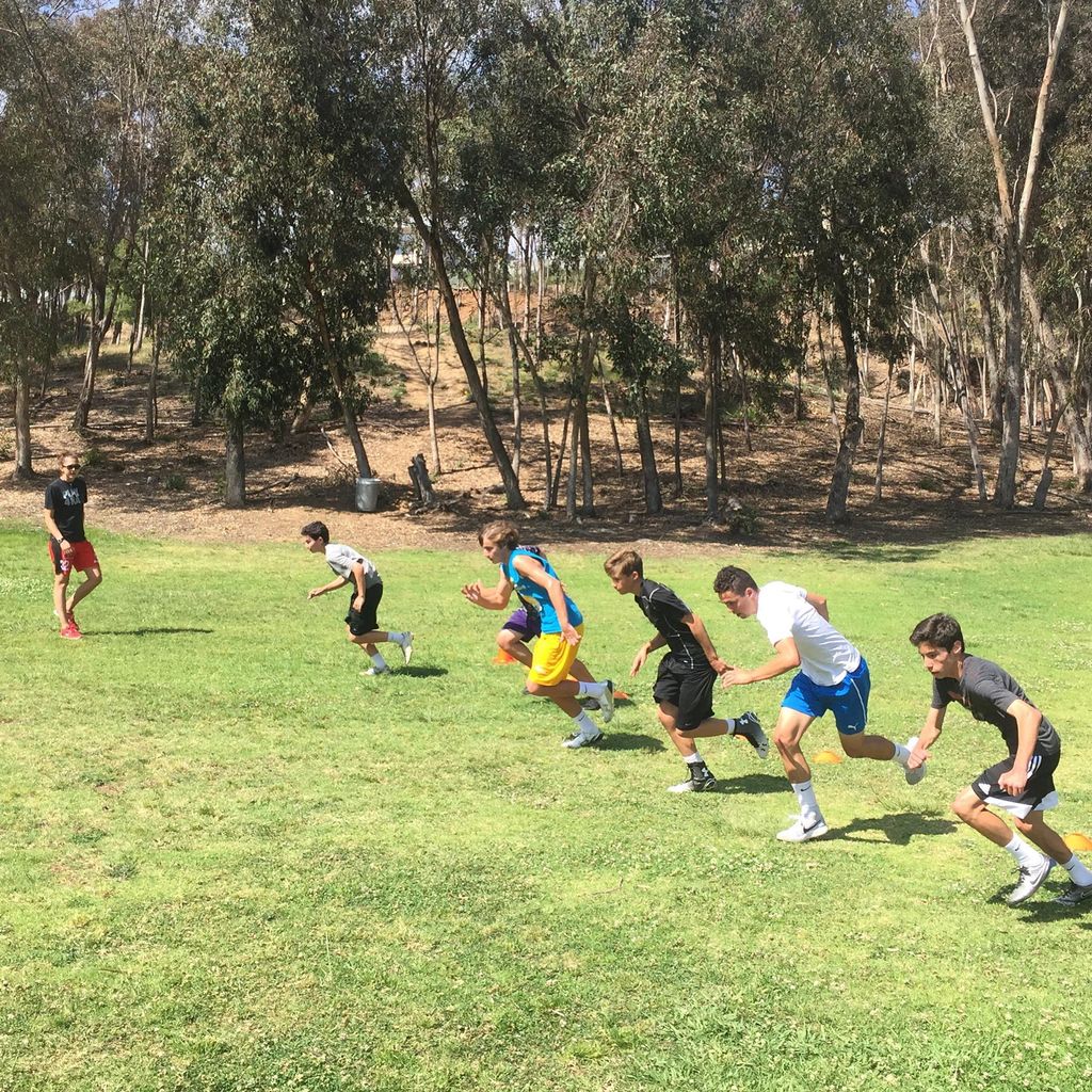 Speed, Agility, Quickness Training