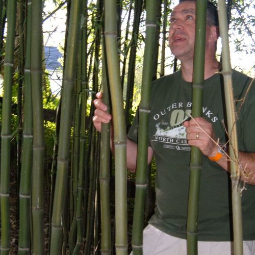 Kevin the Bamboo Guy