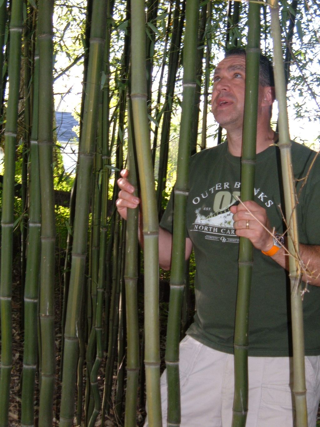 Kevin the Bamboo Guy