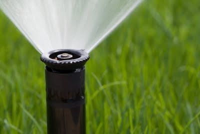 It is important to make sure all your sprinkler he