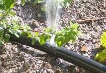 Tired of fixing drip leaks? Sprinkler Dude LLC spe