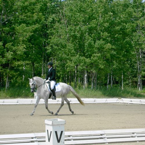 3yr old Andalusian mare in training
This was her f