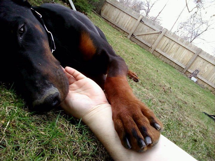 "Together we have made a pact..."