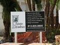 hunter douglas