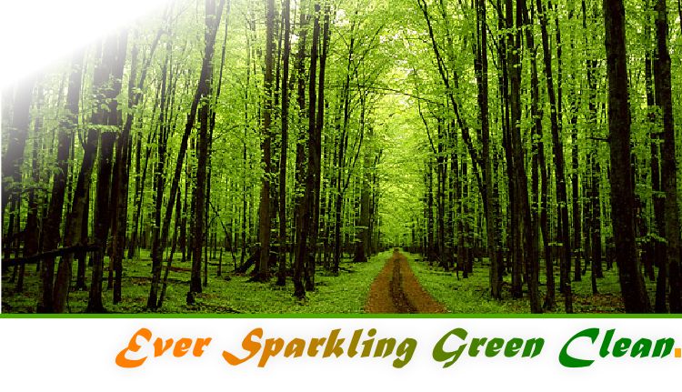 Ever Sparkling Green Clean