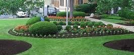 MULCH BED WITH SHRUBS