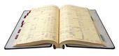 accounting ledger