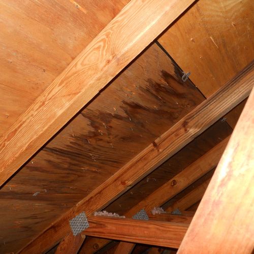 Roof leaks are very common in South Florida.  We p