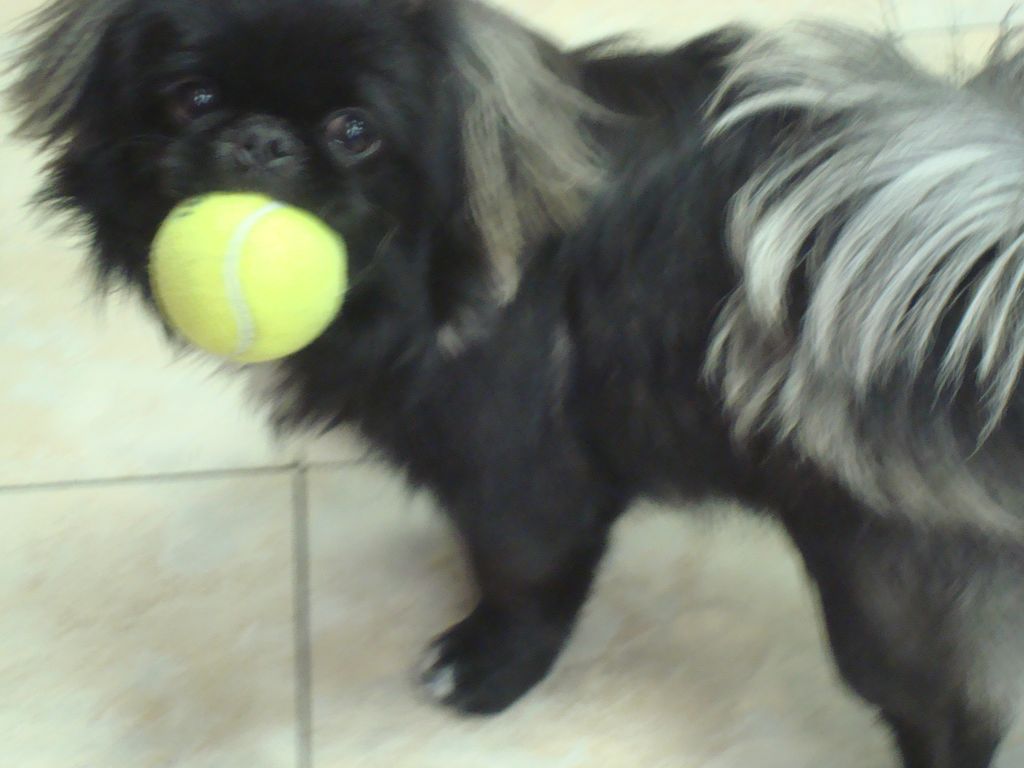 Wanna play?