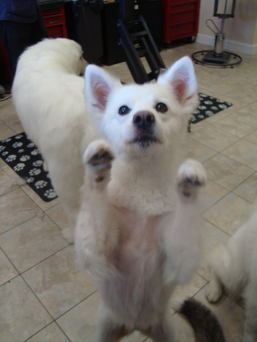 Hi!