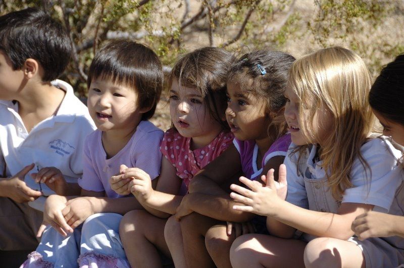 School Children of all ages love the RainForest sh