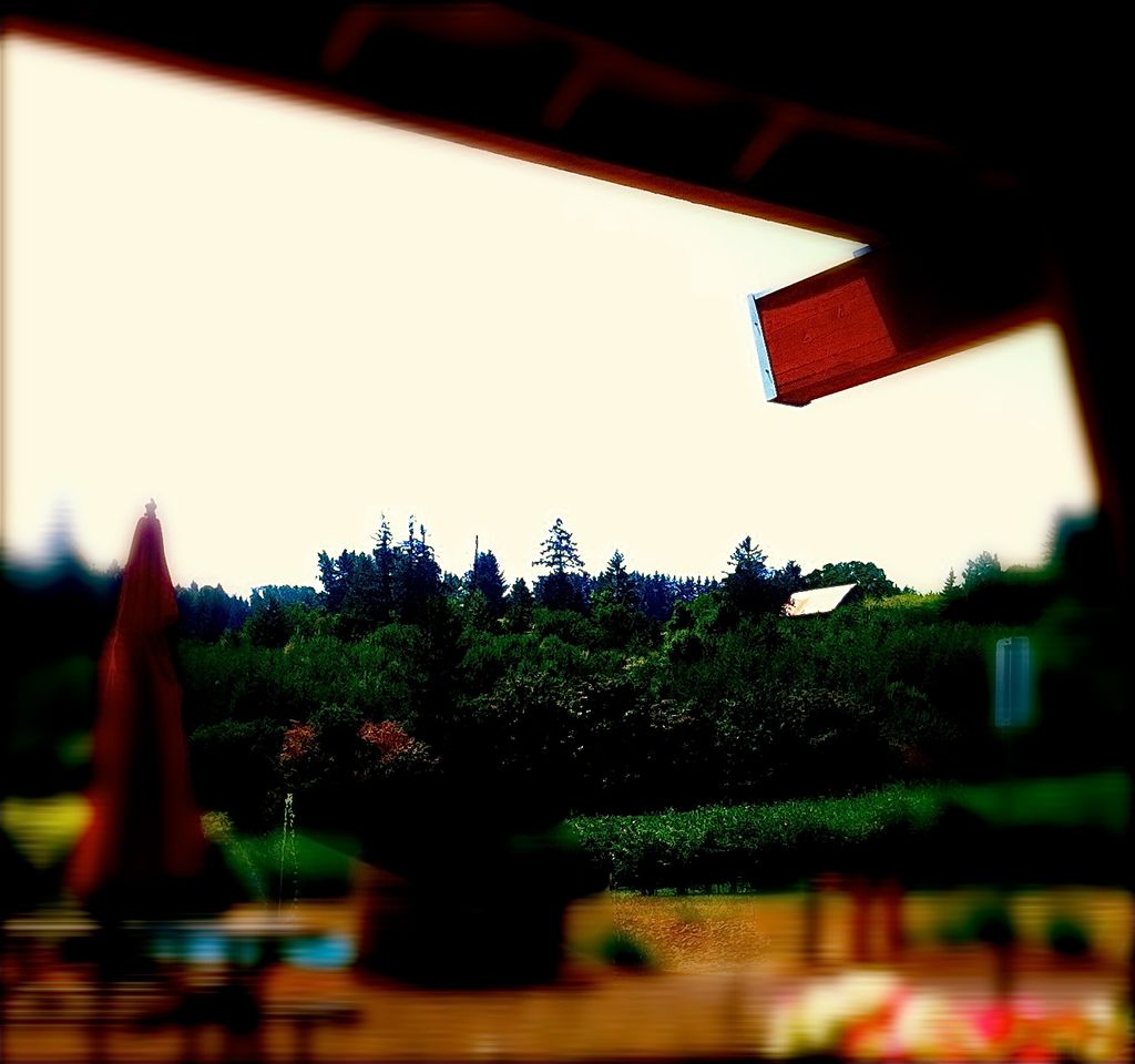 I love photography...one picture is worth a whole 