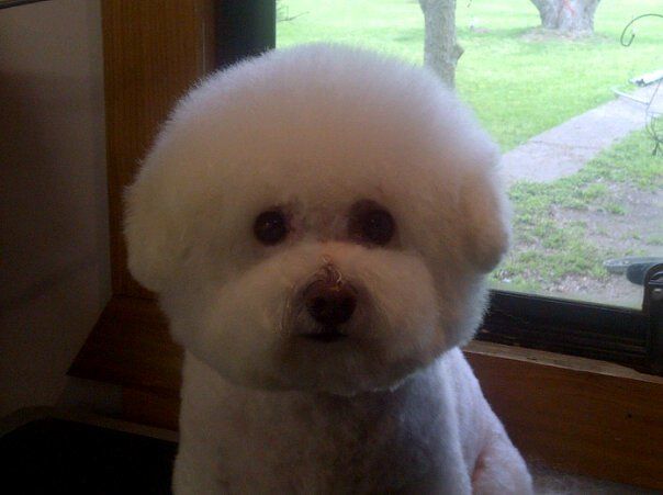 Precious after  :)