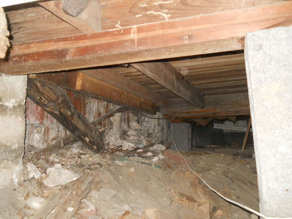 Damaged framing in crawl space needs repair