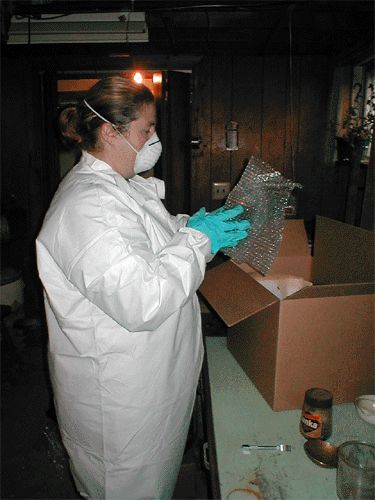 Mold Remediation - Move Out
