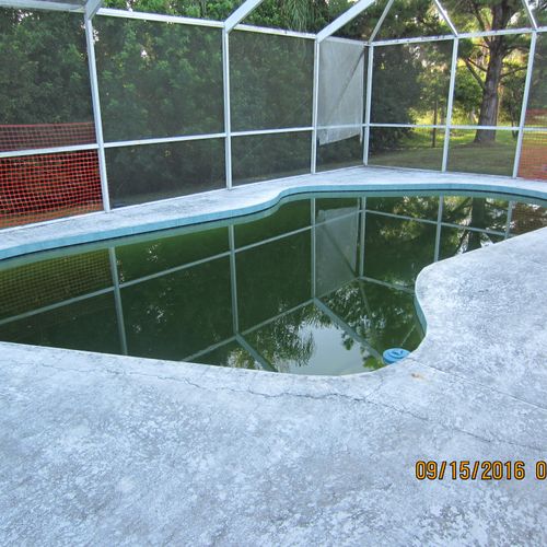 We specialize in Green to Clean pools.