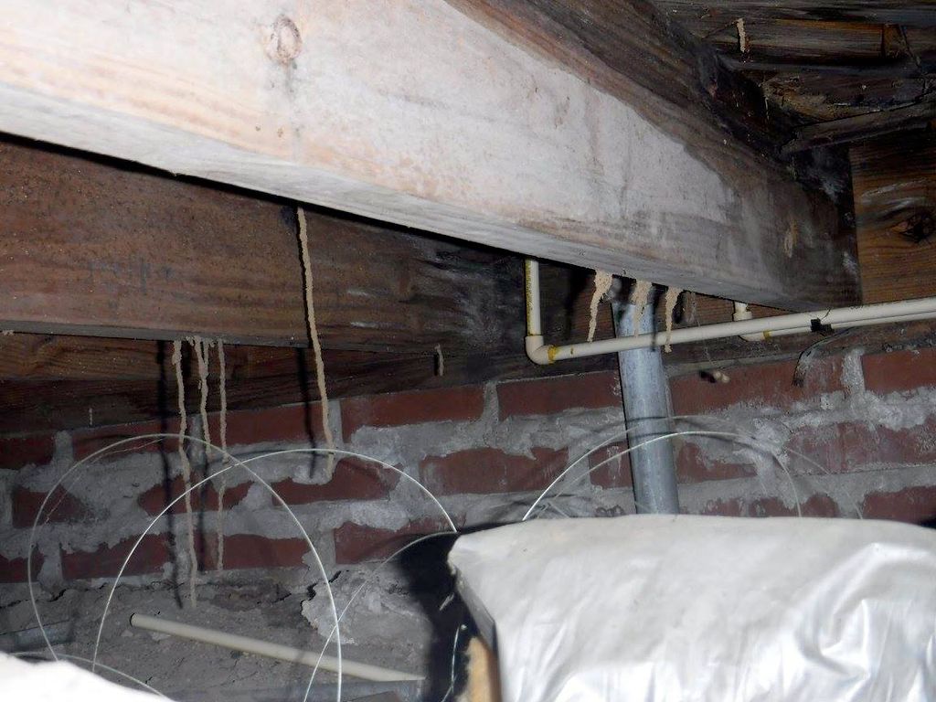 Excessive Termite Damage. The Tunnels seen coming 