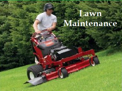 Lawn Care in Myrtle Beach