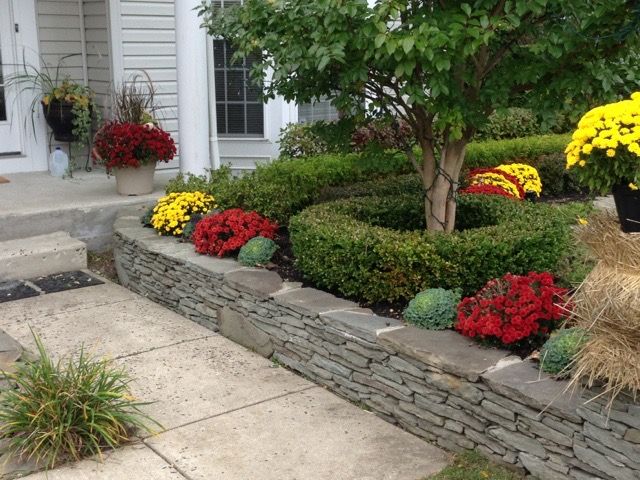 Landscaping,seasonal/plants