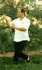 I recommend starting with Five Birds Tai Chi