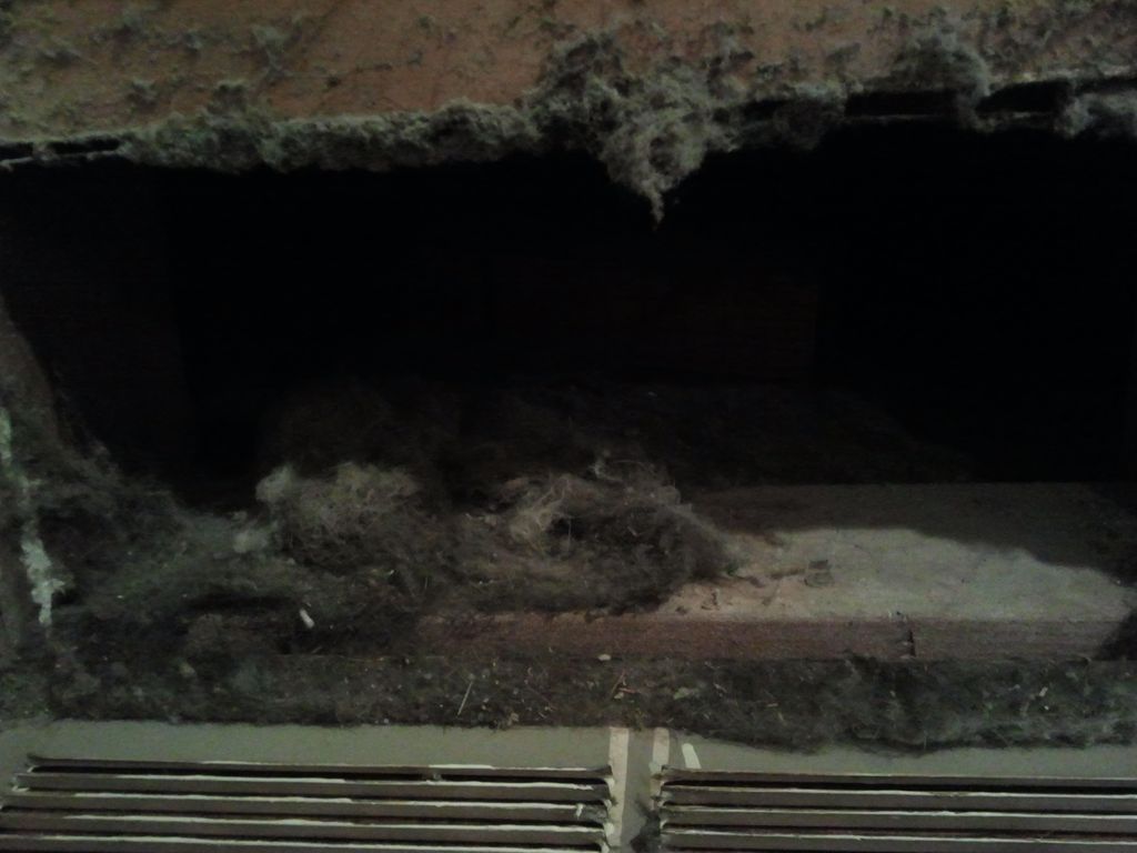 this is what could be hiding in your homes air duc