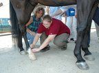 Lydia helps a veterinary student with proper needl
