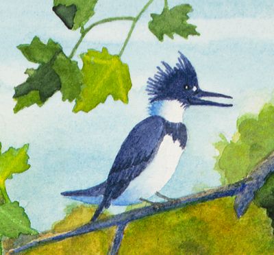 Kingfisher, by Kristie Wilde