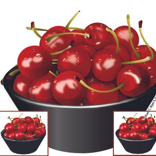 a bowl of cherries rendered in Adobe Illustrator C