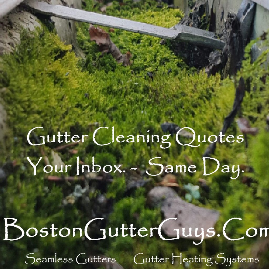 Boston Gutter Guys