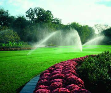 Byrd's Irrigation & Landscaping